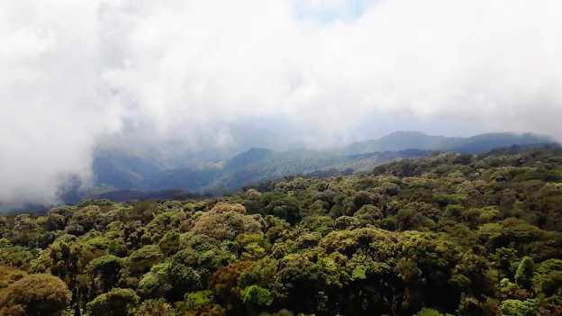 Parque nacional Montecristo